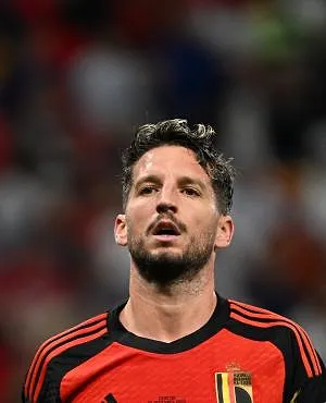 Dries MErtens