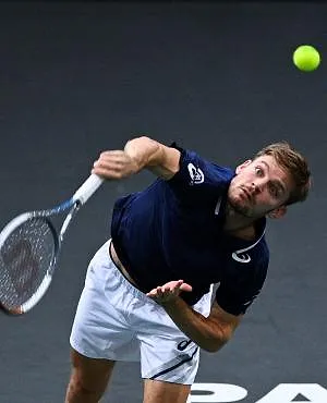 Blessé au genou, David Goffin est contraint de mettre fin à sa saison