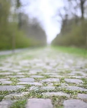 Des pavés volés sur Paris-Roubaix, du ciment et du sable utilisés pour remplir les nids-de-poule