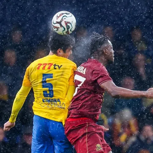 Westerlo concède le partage contre la lanterne rouge Dender
