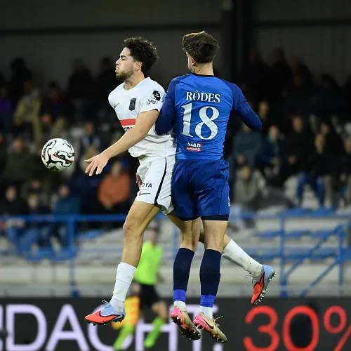 Des buts mais pas de vainqueur entre Dender et Westerlo en bas de tableau