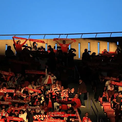 Benfica suspend cinq supporters à la suite de comportements racistes envers Vinicius