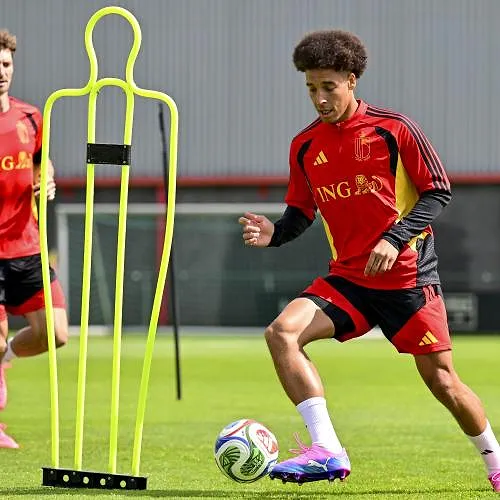 Avec Ngoy et Witsel : voici le onze idéal de Nacer Chadli pour Croatie – Belgique