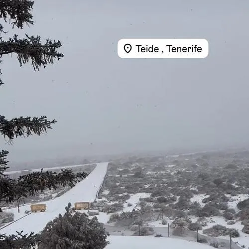 Remco Evenepoel bereidt de Ronde van Catalonië voor op Tenerife… en in de sneeuw!