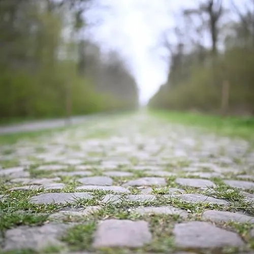 Kasseien gestolen op Parijs-Roubaix : gaten opgevuld met cement en zand