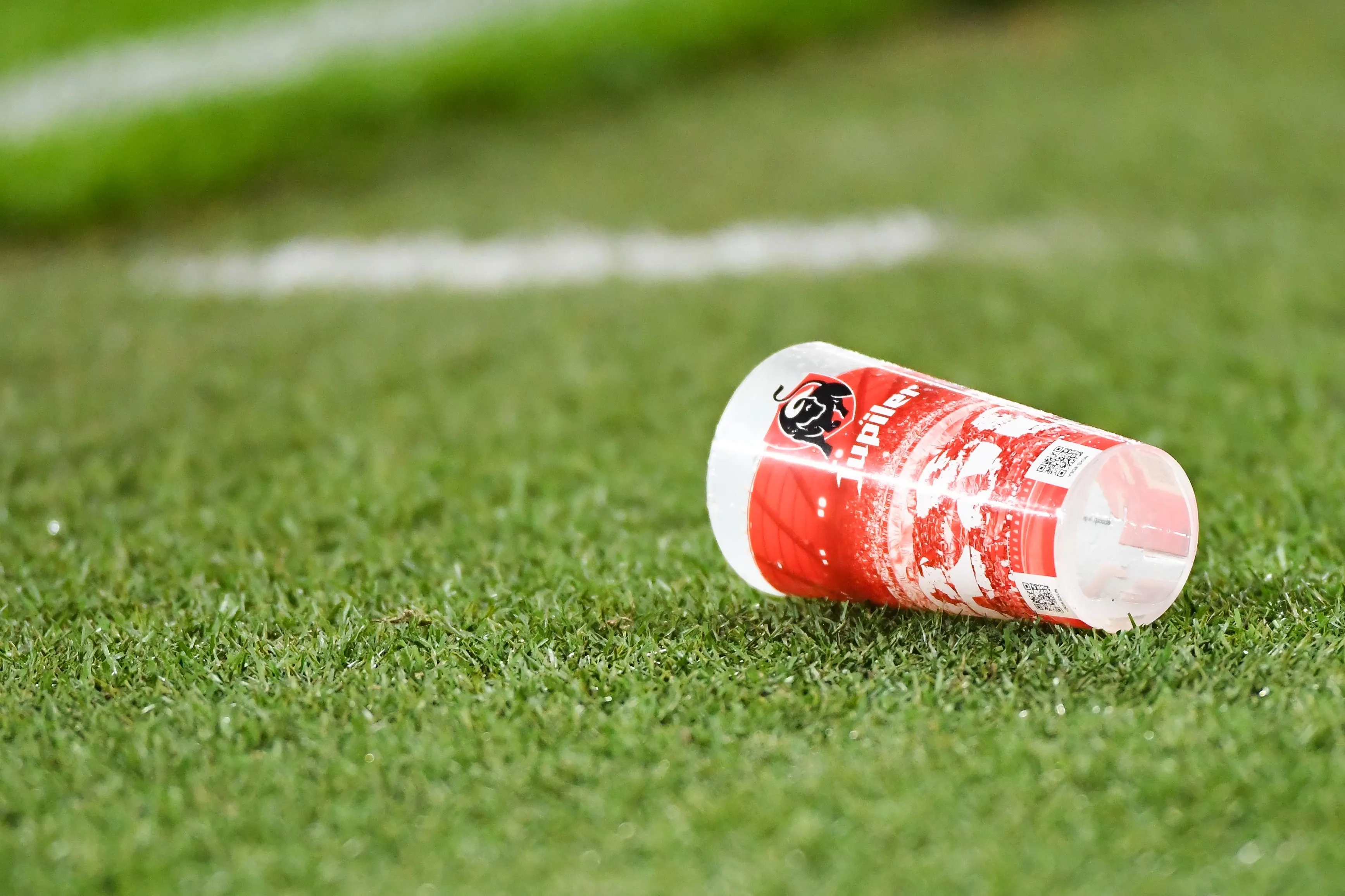Standard-Antwerp : le match arrêté à la 87e à cause d’un supporter des Rouches alors que les Liégeois menaient 1-0 - BELGA