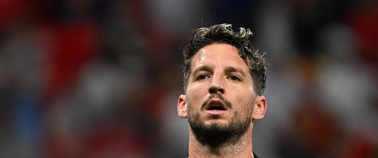 Dries MErtens