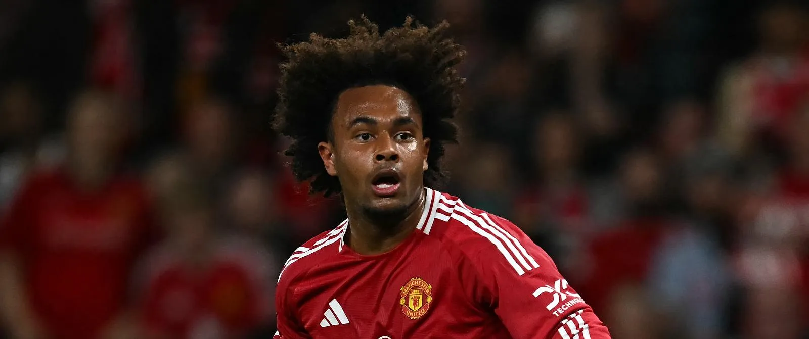 Joshua Zirkzee de retour en Serie A, ce serait fait : il devrait quitter Manchester United cet hiver ! - Tom Oliver