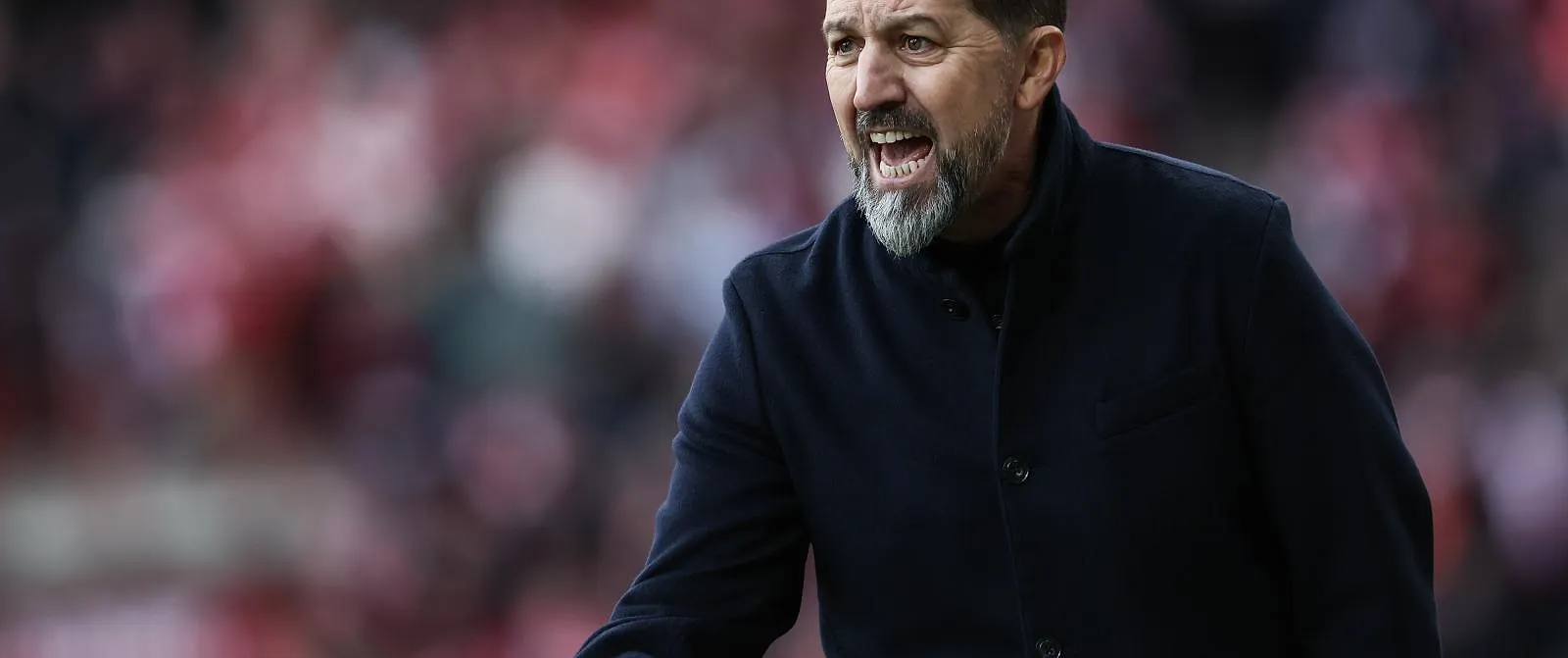 Fink a été contacté : voici les premières informations concernant le successeur d’Hasi à Anderlecht ! - Tom Oliver