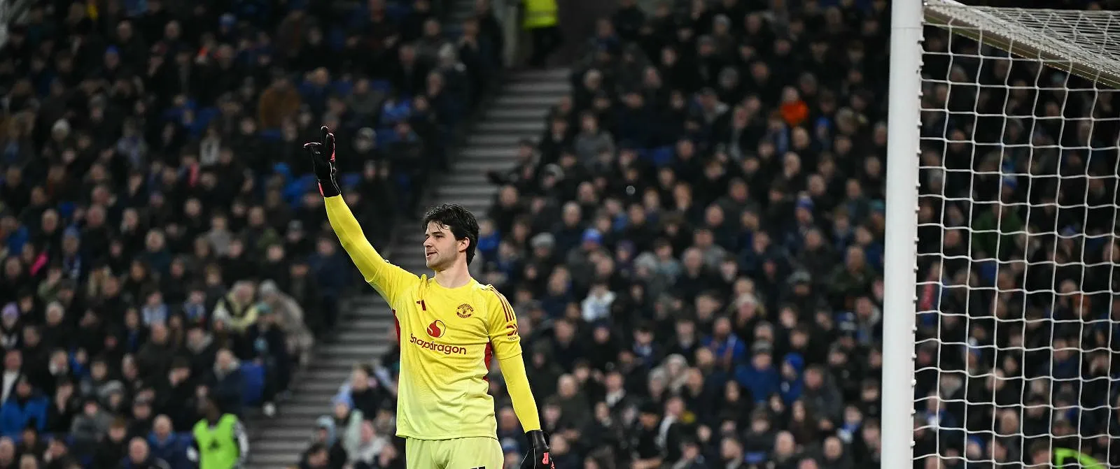 « J’aime ce défi physique » : Senne Lammens prospère avec Manchester United - Belga