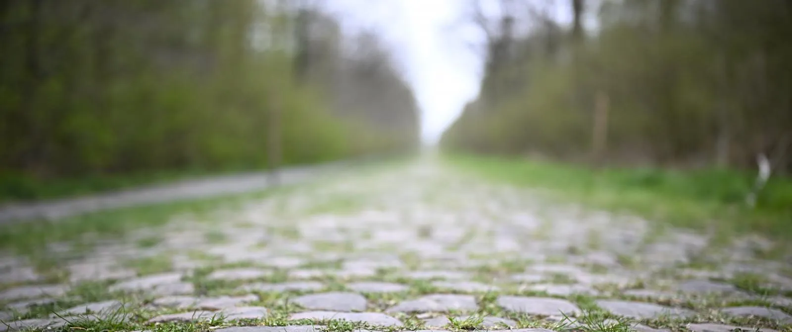 Des pavés volés sur Paris-Roubaix, du ciment et du sable utilisés pour remplir les nids-de-poule - Jérôme Jordens