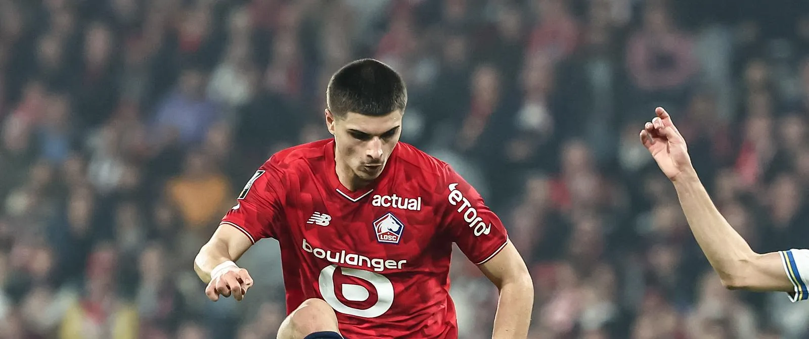 Fernandez-Pardo sur le départ de Lille ? Le Diable rouge intéresse un grand club anglais ! - Tom Oliver