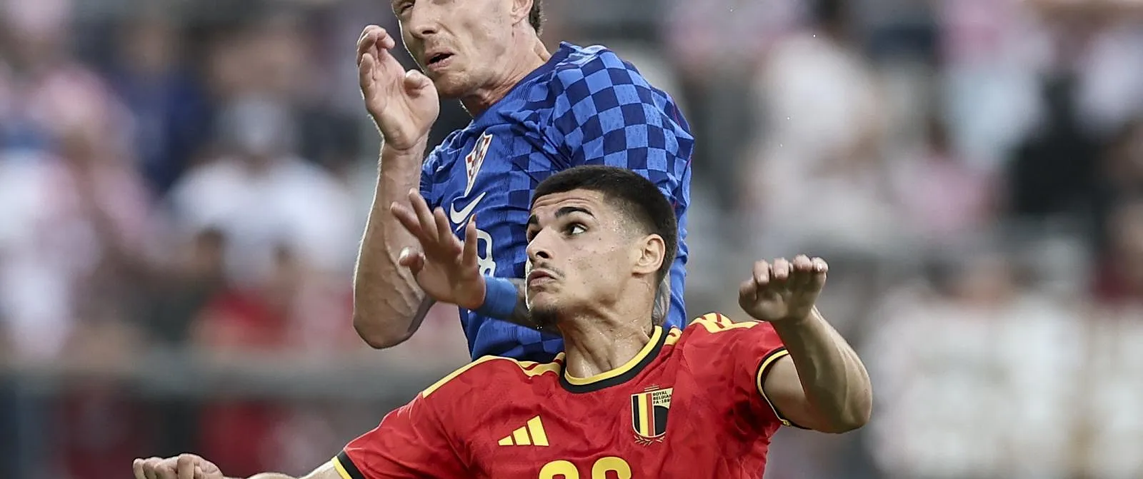 « Pourquoi pas essayer Fernandez-Pardo d’entrée » : notre consultant Nacer Chadli préface Belgique – Tunisie - Tom Oliver