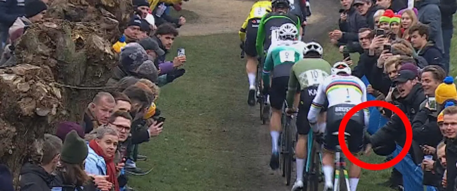 Mathieu van der Poel ontsnapt nipt aan val door toedoen van toeschouwer (video) - Circus Daily