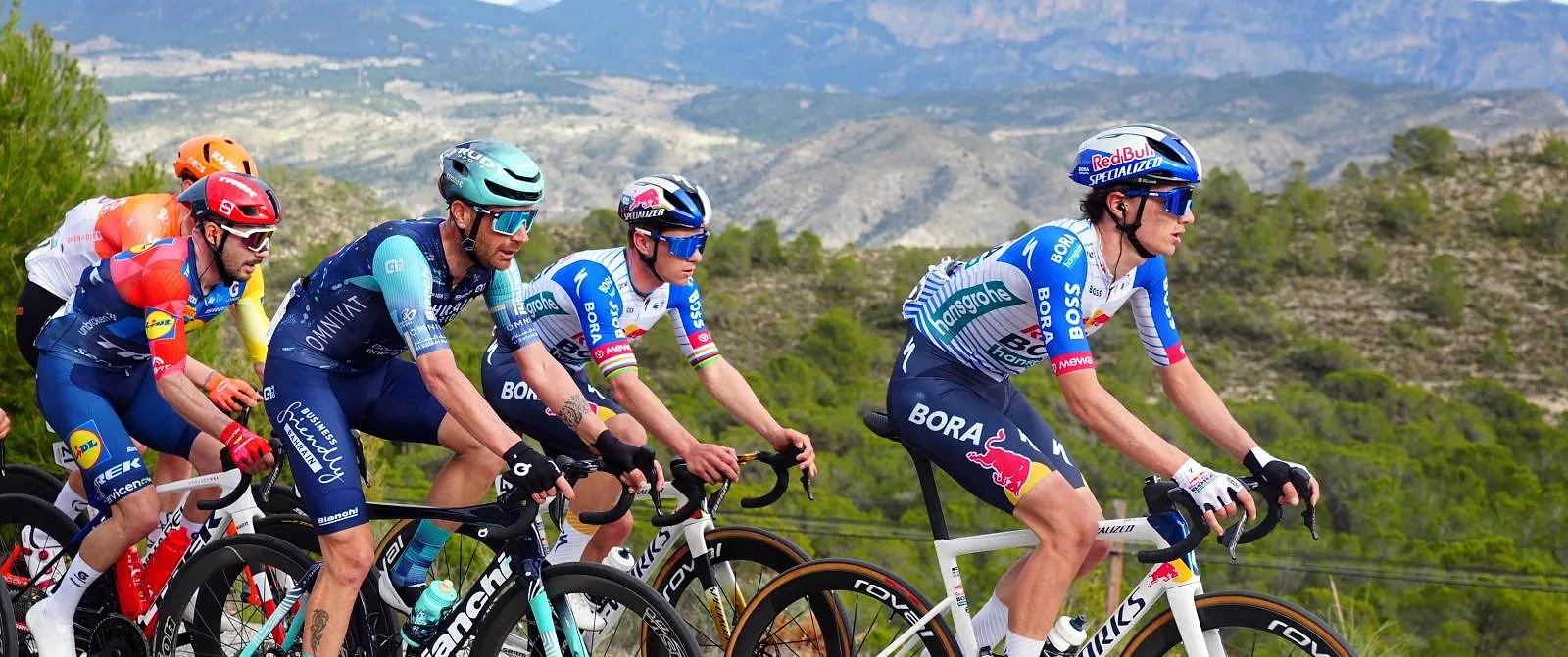 «Dit is duidelijk het Remco-effect»: Johan Bruyneel looft de Belgische kampioen - Circus Daily