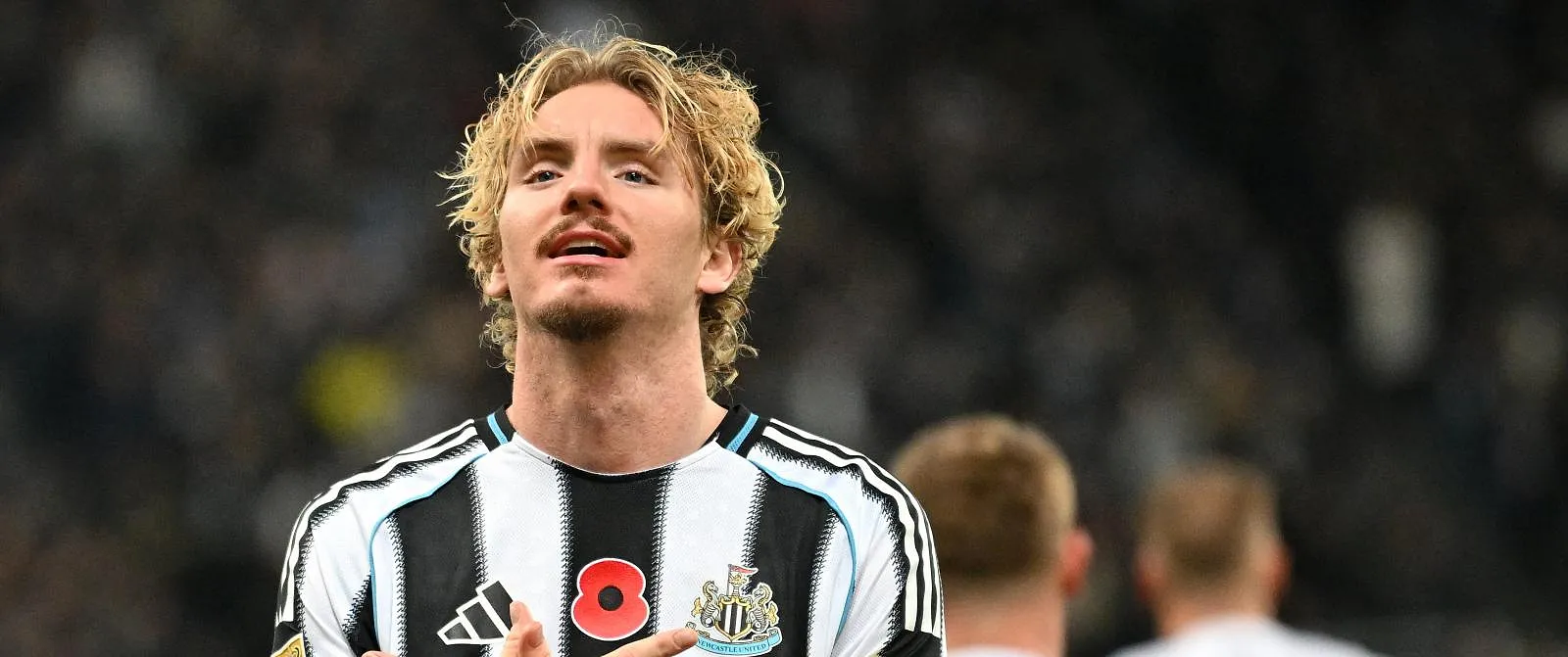 Woltemade al op weg naar vertrek bij Newcastle? Duitser denkt aan terugkeer naar Bundesliga - Circus Daily