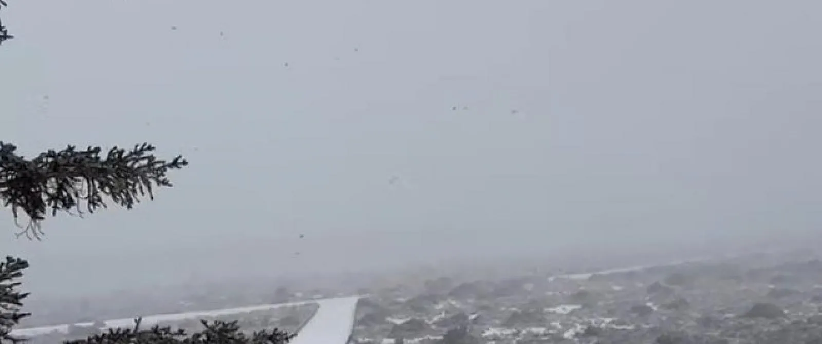 Remco Evenepoel bereidt de Ronde van Catalonië voor op Tenerife… en in de sneeuw! - Circus Daily