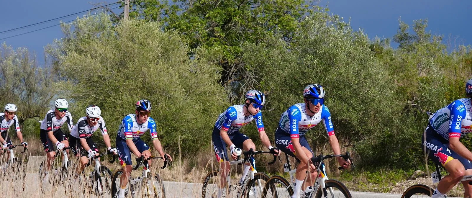 Ronde van Catalonië : organisatie schrapt slotklim van vierde rit wegens rukwinden - Belga