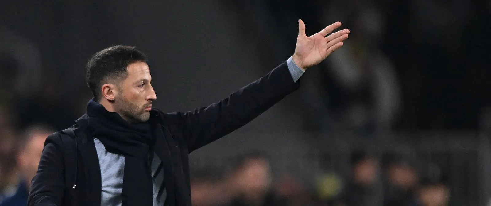 Bologna bevestigt komst van Domenico Tedesco - Belga