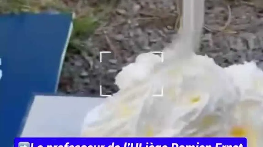 Damien Ernst violemment agressé à la tarte à la crème fraîche en plein cours à l’Université de Liège ! - Damien Ernst violemment agressé à la tarte à la crème fraîche en plein cours à l’Université de Liège !